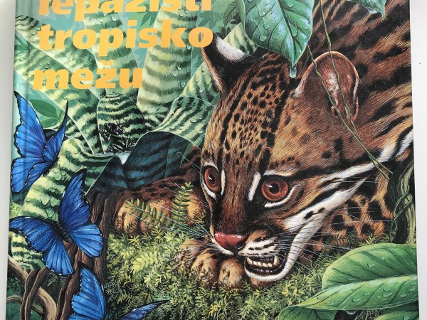 Iepazīsti tropisko mežu