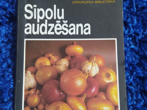 Sīpolu audzēšana