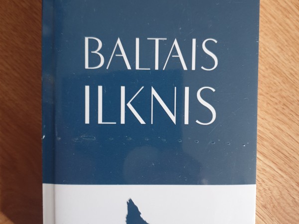 Baltais ilknis