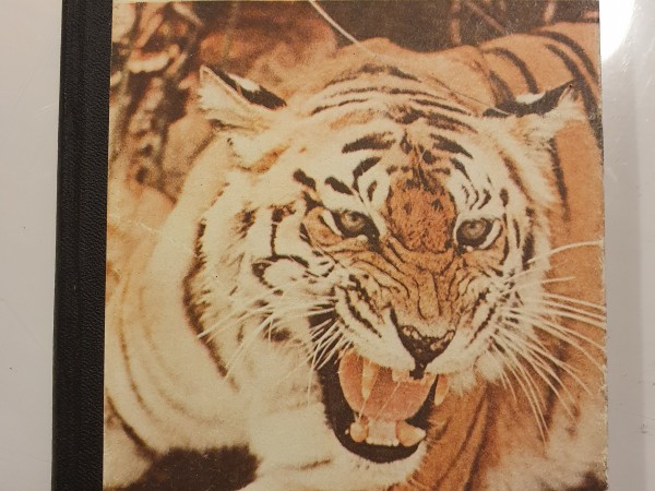 Džungļu grāmatas pasaule