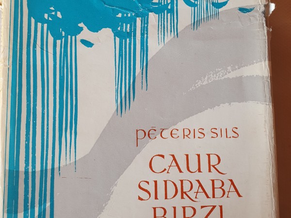 Caur sidraba birzi