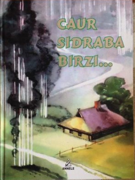 Caur sidraba birzi
