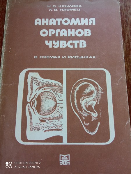 Анатомия органов чувств