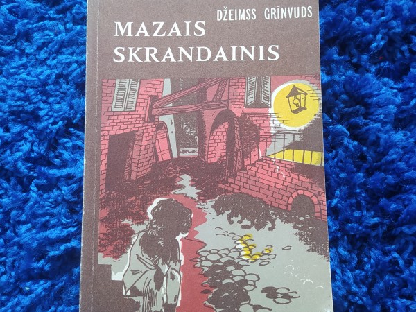 Mazais skrandainis