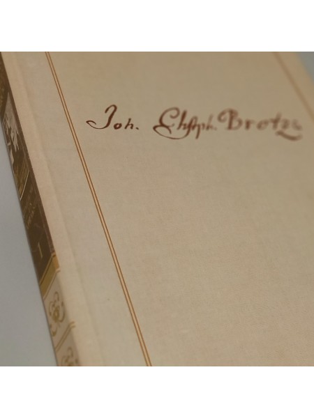 Zīmējumi un apraksti 1.sējums Rīgas skati,  ļaudis un ēkas