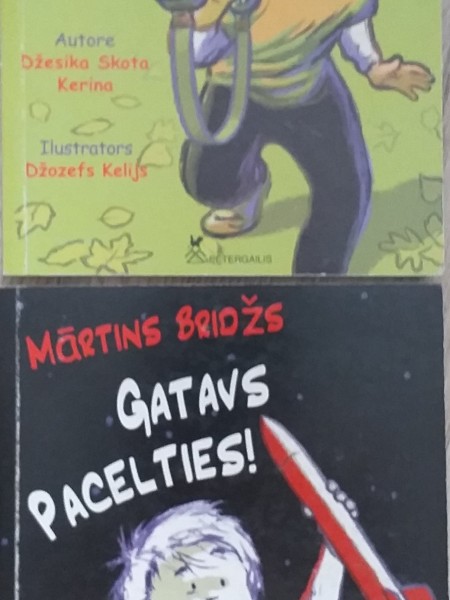 Mārtins Bridžs gatāvs pacelties, Mārtins Bridžs sargpostenī