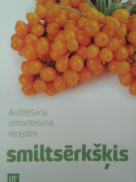 Smiltsērkšķis