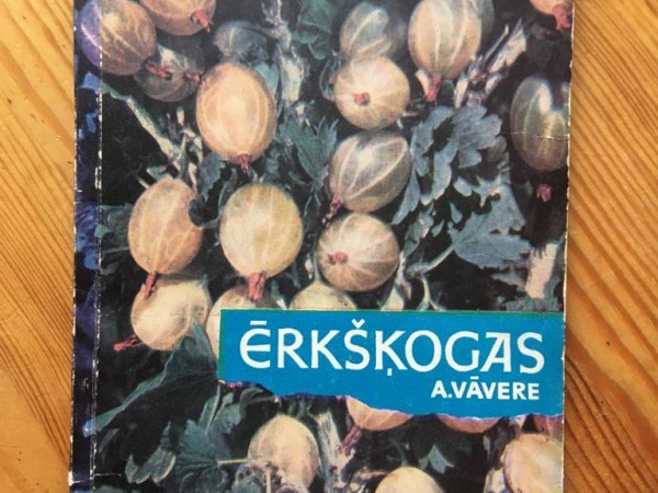 Ērkšķogas