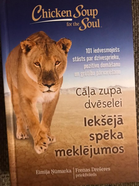 Cāļa zupa dvēselei. Iekšējā spēka meklējumos