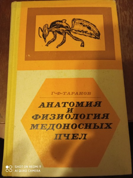 Анатомия и физиология медоносных  пчел