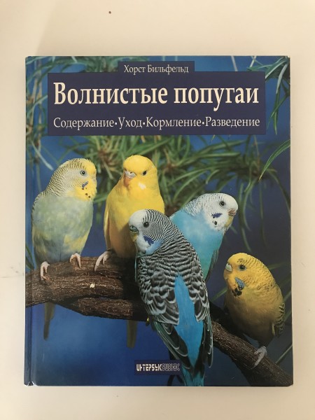 Волнистые попугаи