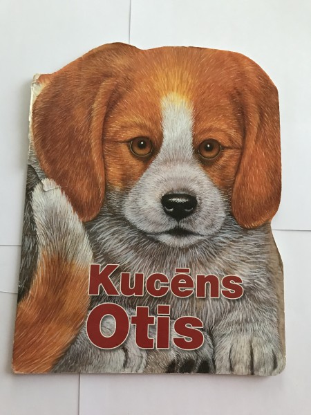 Kucēns Otis