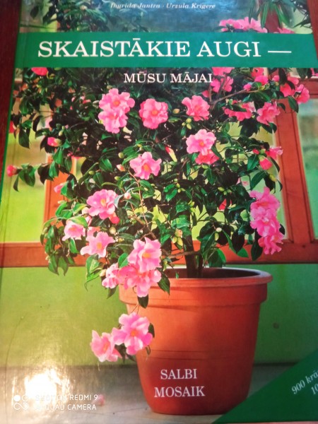 Skaistākie augi- mūsu mājai
