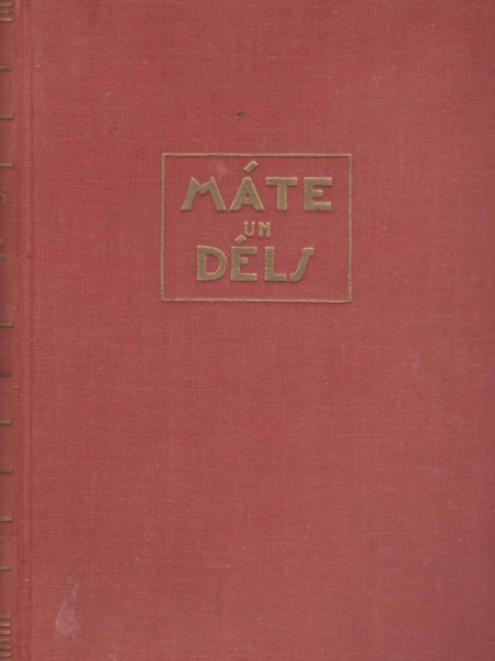 Māte un dēls