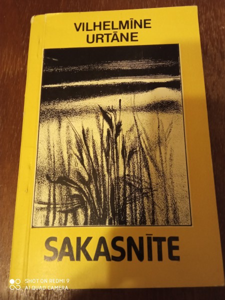 Sākasnīte