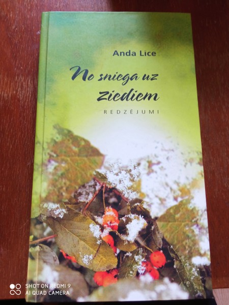 No sniega uz ziediem