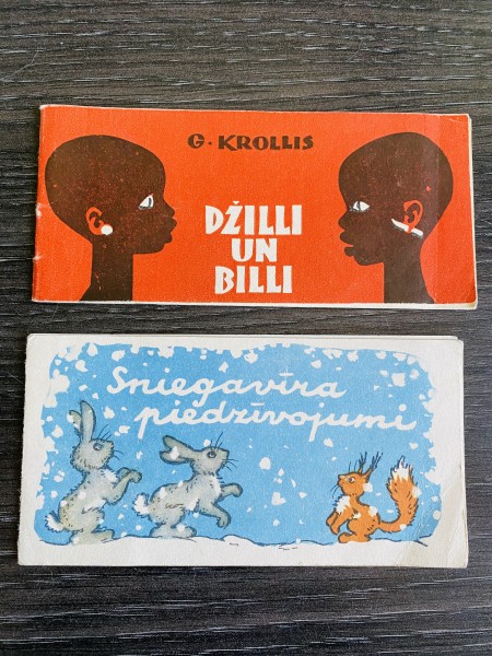 DŽILLI UN BILLI. SNIEGAVĪRA PIEDZĪVOJUMI