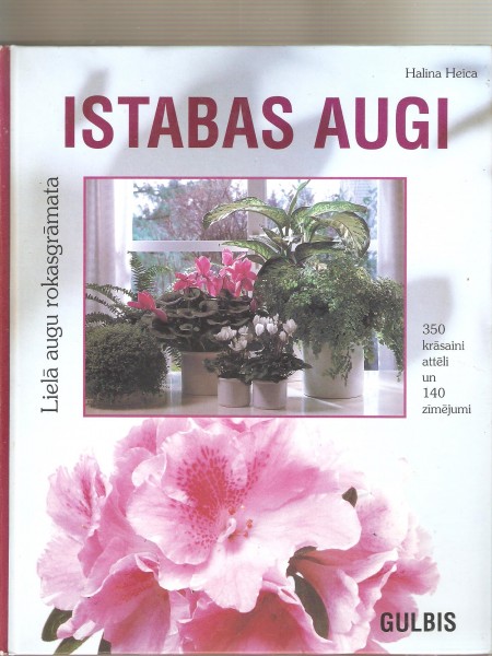 Istabas augi