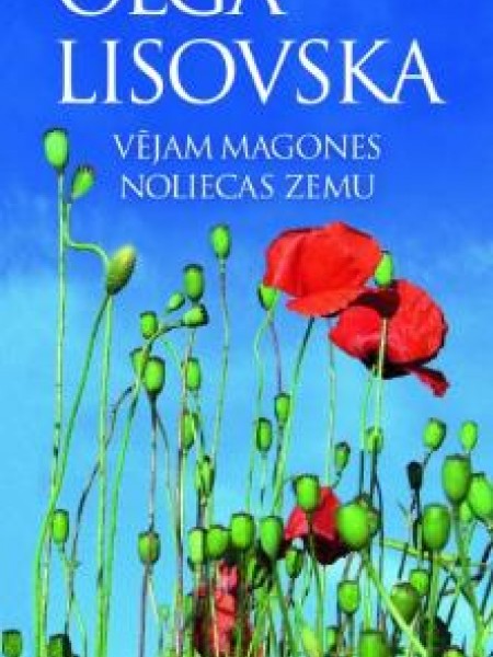 Vējam magones noliecas zemu