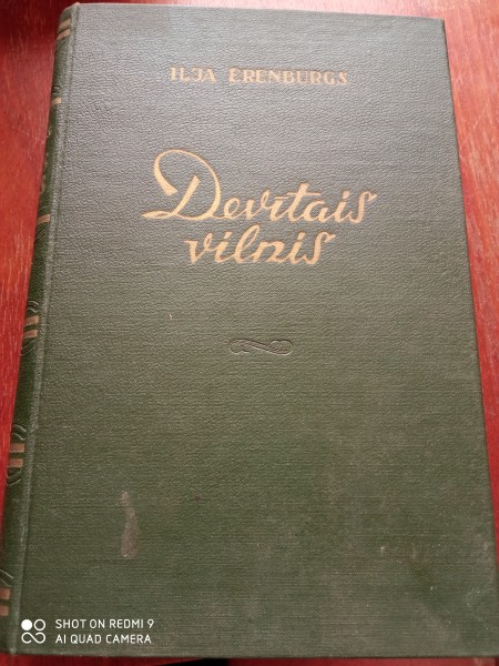 Devītais vilnis