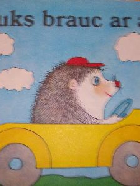 Ežuks brauc ar auto