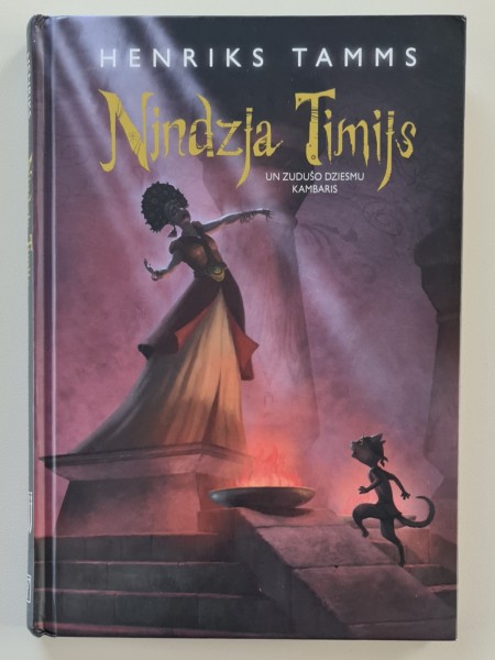 Nindzja Timijs un zudušo dziesmu kambaris