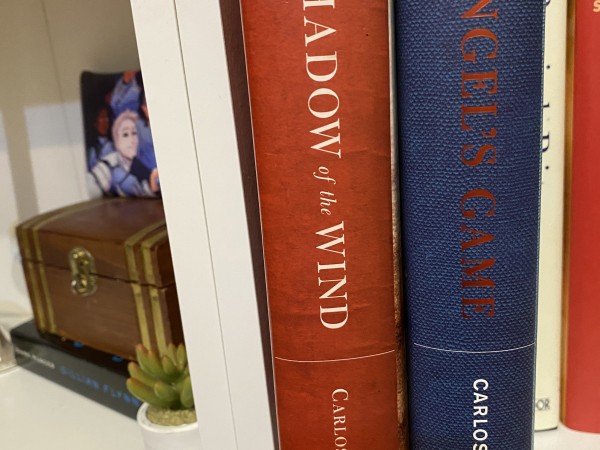 the shadow of the wind