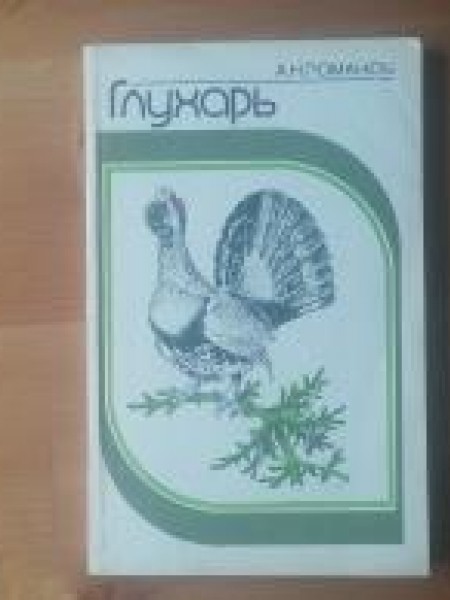 Глухарь