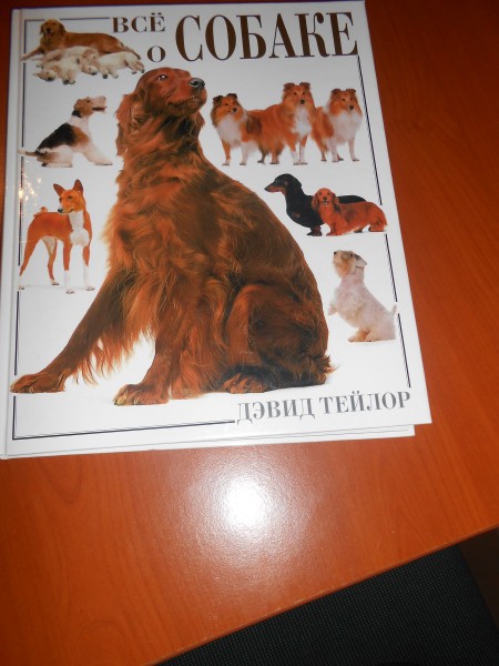 Всё о собаке