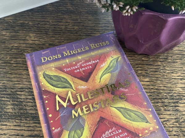 Mīlestības meistars