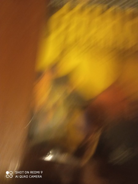 Sātans uz skrituļslidām