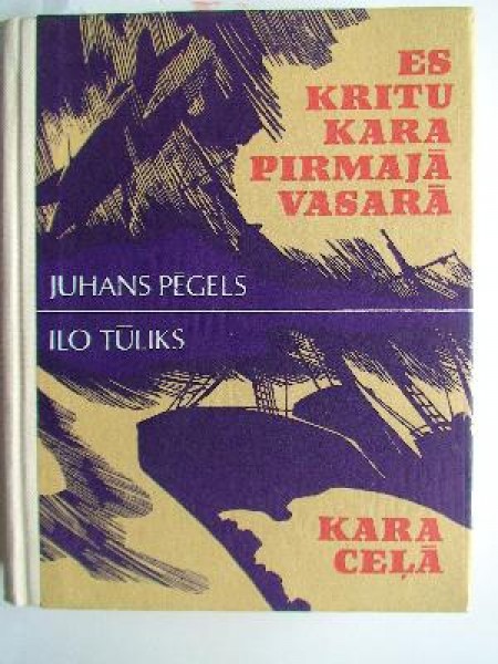 Es kritu kara pirmajā vasarā