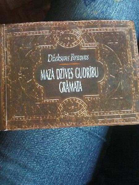 Mazā dzīves gudrību grāmata