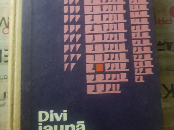 Divi jaunā pilsētā