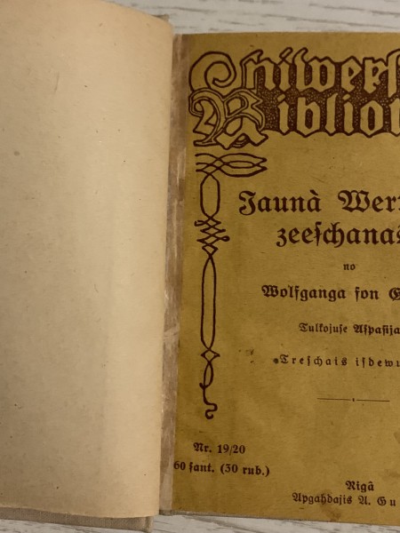 Jaunā Vertera ciešanas