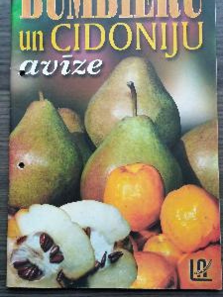 Bumbieru un cidoniju avīze