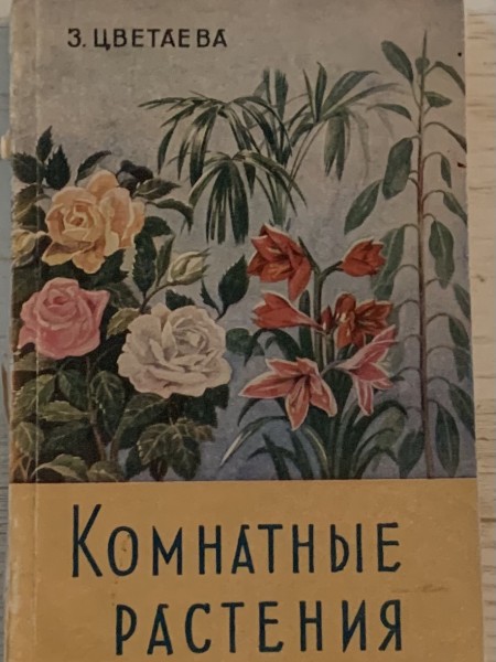 Комнатные растения