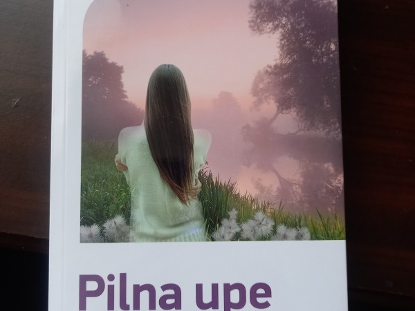 Pilna upe