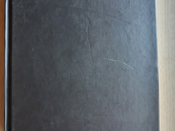 Meitene, kas izpostīja siseņu pūzni