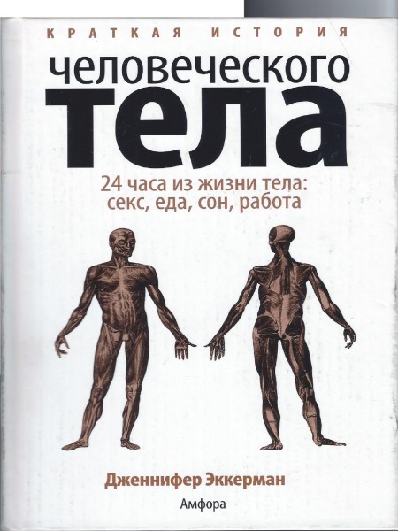 Краткая история человеческого тела.