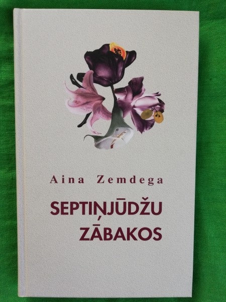 Septiņjūdžu zābakos