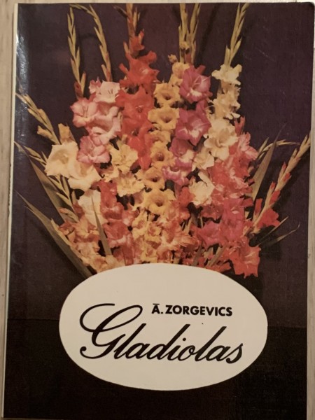 Gladiolas