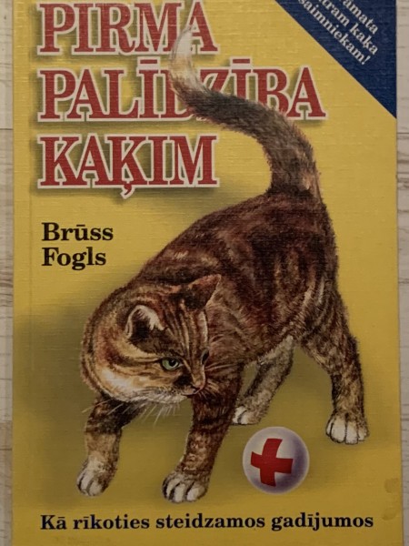 Pirmā palīdzība kaķim