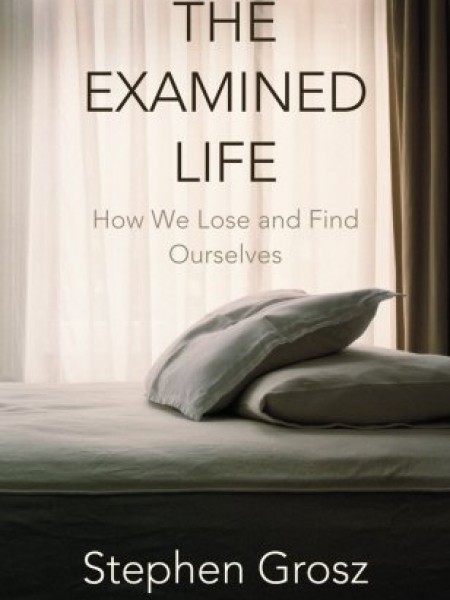 The Examined Life: How We Lose and Find Ourselves