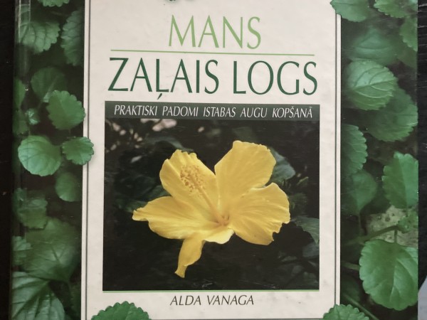 Mans zaļais logs
