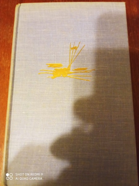 Rietumu frontē bez pārmaiņām