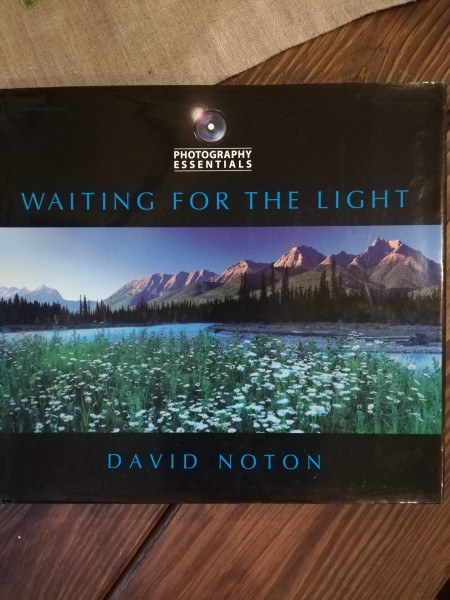 Waiting for the light