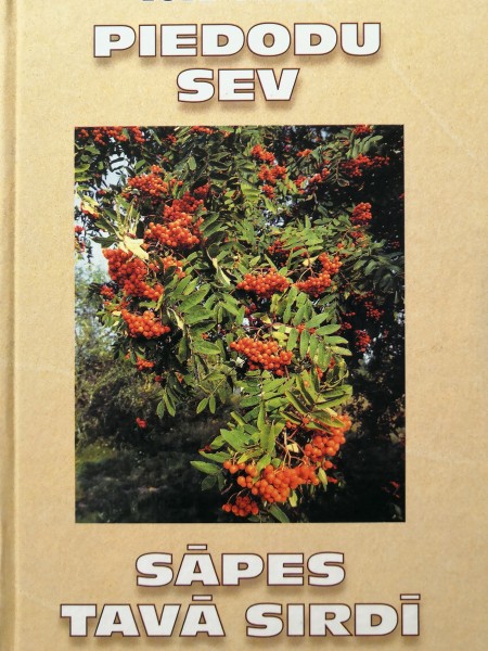 Piedodu sev. Sāpes tavā sirdī