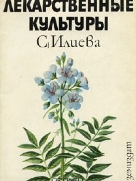 Лекарственные культуры