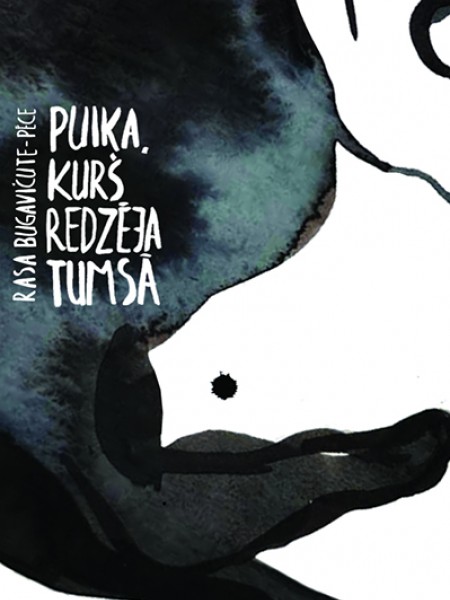 Puika, kurš redzēja tumsā